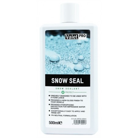 Snow Seal